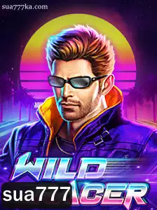 Explorando o Mundo de WildRacer: Um Guia Completo